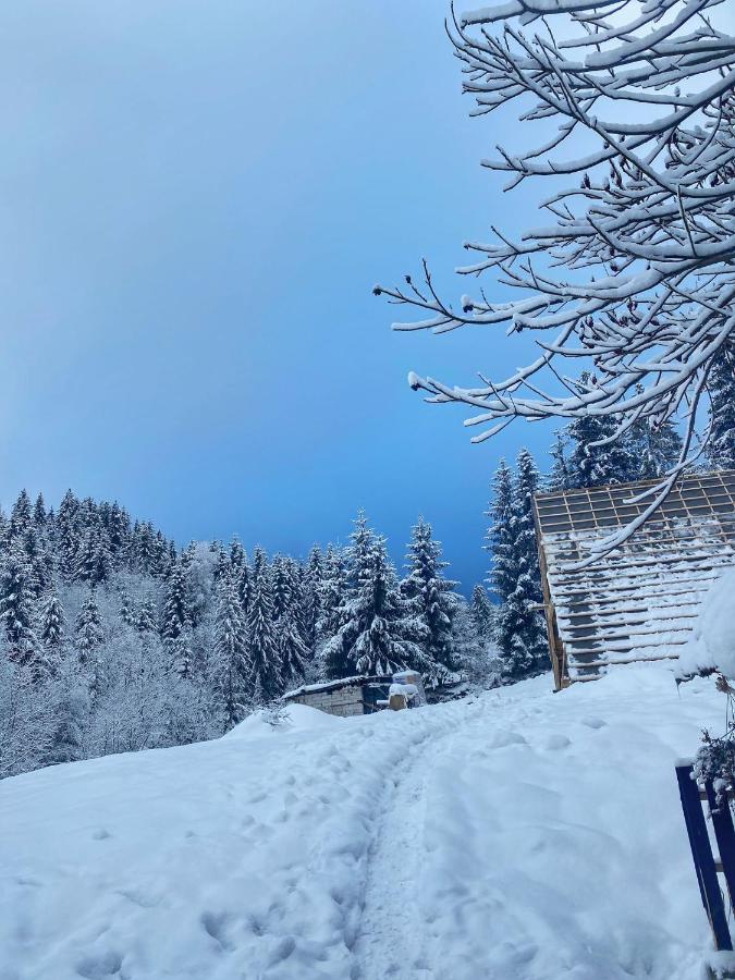 Cabana Green Hill Borşa Exteriér fotografie