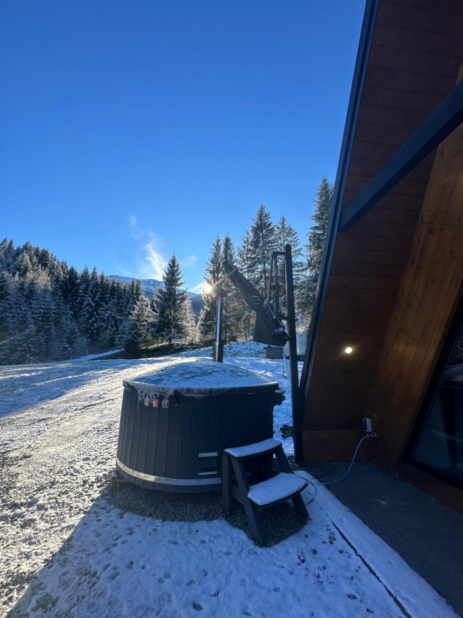 Cabana Green Hill Borşa Exteriér fotografie